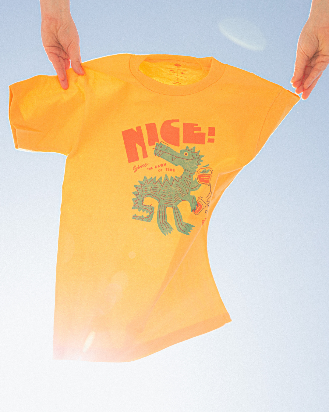 Parrot Dog t shirt printing