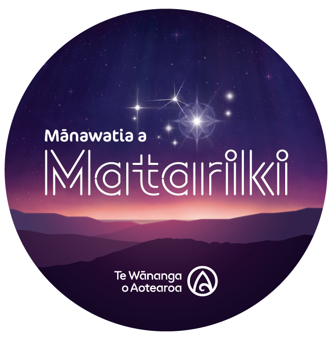 Matariki Sticker - Custom Clothing | T Shirt Printing | Embroidery | Screen Printing | Print Room NZ