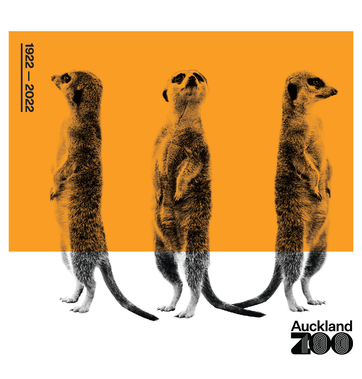 raster artwork auckland zoo screen printing nz